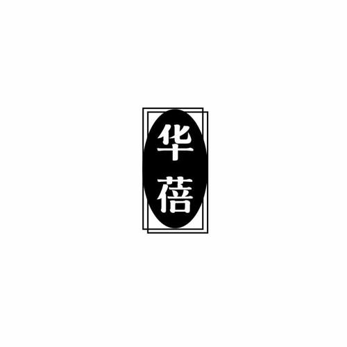 华蓓 